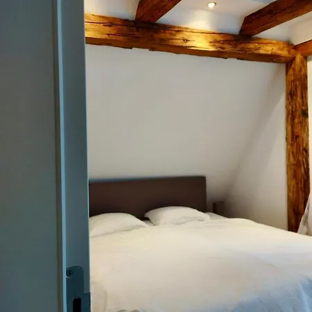Apartment Goldene Pastete - Urban Luxury *