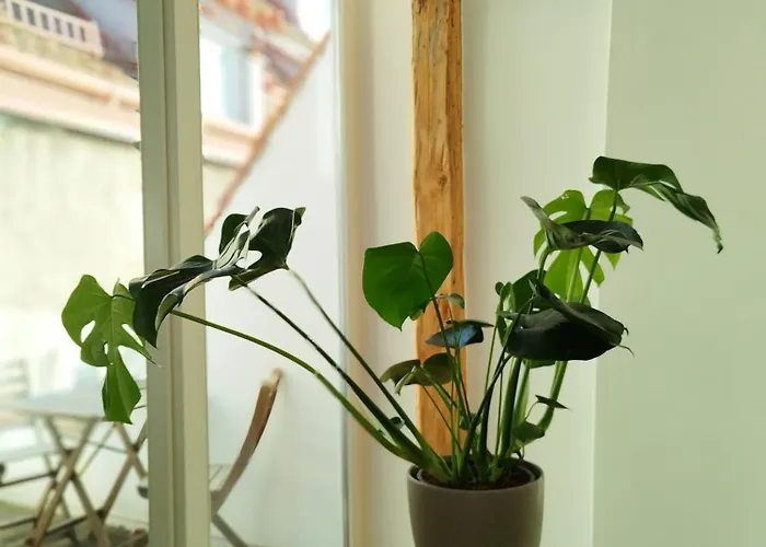 Goldene Pastete - Boutique Apartments City Center Graz *